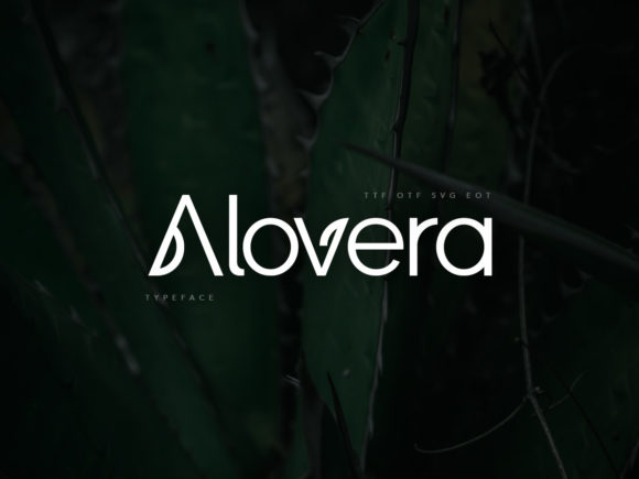 Alovera Display Font Review for Real-World Design
